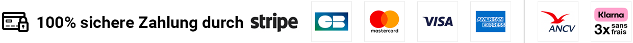 100% sichere Zahlung über Stripe und andere Mittel